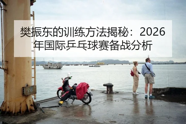 樊振东的训练方法揭秘：2026年国际乒乓球赛备战分析