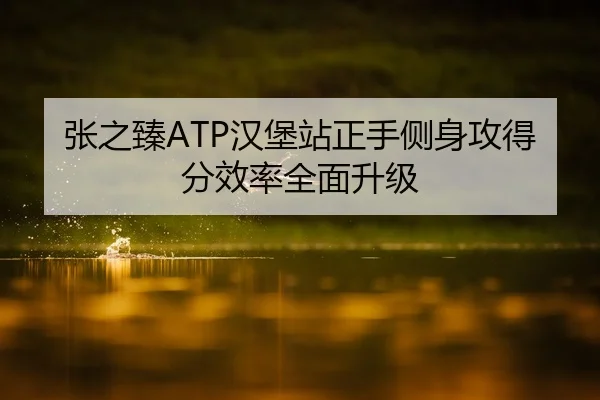 张之臻ATP汉堡站正手侧身攻得分效率全面升级