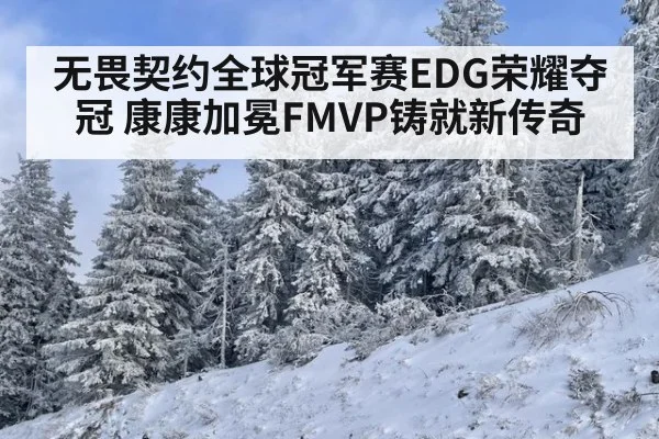 无畏契约全球冠军赛EDG荣耀夺冠 康康加冕FMVP铸就新传奇
